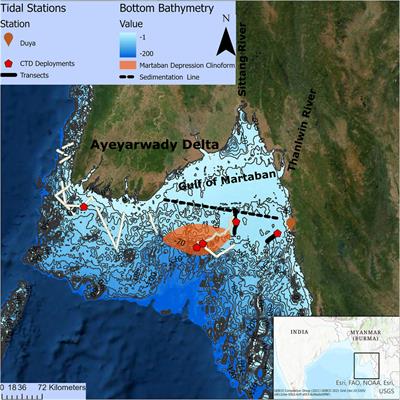 ADCP Observations of Currents and Suspended Sediment in the Macrotidal Gulf of Martaban, Myanmar